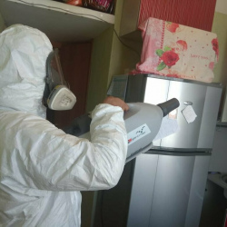 Уничтожение насекомых в квартире. Ильинский Погост